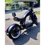 Rooder Electric Ebike For Adult