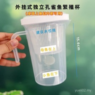 Guppy Breeding Isolation Cup Fish Breeding Room Small Fish Breeding Can Female Fish Box Tank Outer T