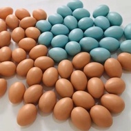 Chicken Egg Toy Duck Egg