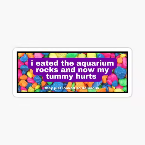 I Eated The Aquarium Rocks And Now My Tu 10PCS Stickers for Wall Decorations Room Luggage Stickers W