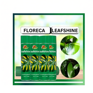 FLORECA Leafshine Spray Can Leaf Shine Spray Pengilat Daun 600ml 光叶剂