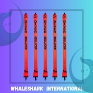 IST SB-9 Diver Below Buoy