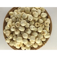 Lotus Seed Lotus Seed