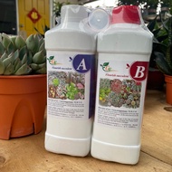 H2O - AB fertilizer Liquid Fertilizer 液体肥料A+B [A+B Baja]