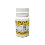 SUNWARD FEROCOM 90'S (IRON)