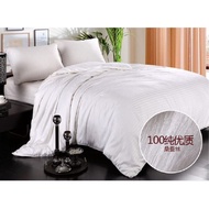 Export Maldive Fuyuerong Five-Star Vacation Hotel 100 Natural Double Palace Mulberry Silk Quilt 3kg