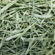 Hot spot PREMIUM TIMOTHY HAY / ALFALFA HAY 1kg ( BUY PER KG FREE Vitamin Drops 10ml worth RM7.00 ) N