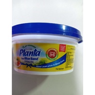 Planta Majerin Blue band