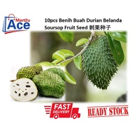 .RS. 10pcs Benih Buah Durian Belanda Manis Sweet Soursop Fruit Seed 刺果种子 Soursop seed