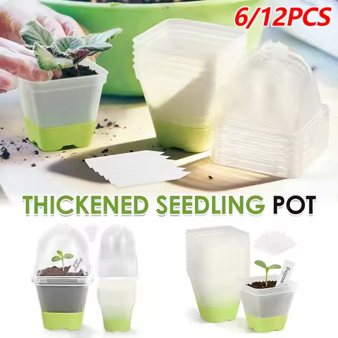 6/12 Pcs 3 Inch Clear Nursery Pot Plastic Seed Starter Pot with Reinforced Silicone Base Starter Pla