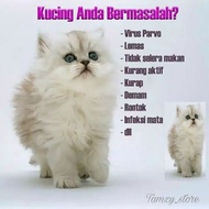 For Regular Customer Chat for More Info
