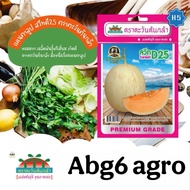 0.5g Biji Benih Melon Sweet D25 F1 Hybrid / Hybrid Melon Seed / Cantaloupe 🍈 Seed / Melon Manis / Ca