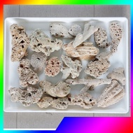 [1KG] Medium Coral Stone For Aquarium Filter Media  Batu Karang Medium Fish Tank Sea Coral Bone Medi