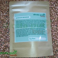 Benih kacang tanah hibrida kulit putih super jumbo isi 1 kg super