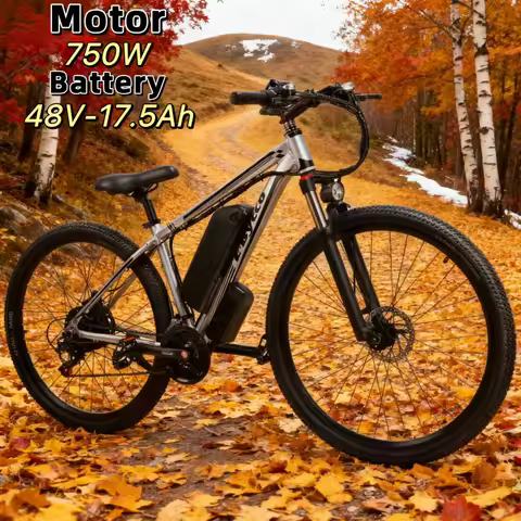 750W Electric Bike 29 Inch Adult Electric Bike 48V 17.5AH Battery 21 Speed Mountain Electric Bike