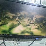 Acer 22 Inch Monitor (P221W) - Beautiful Color 3s Then Off (Components Included, No Feet)