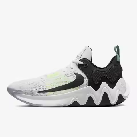 Nike genuine Giannis Immortality 2 Men's Basketball Shoes DM0826-101