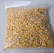 jagung popcorn mentah 1 kg