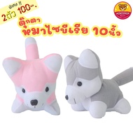 2 Pieces 100  Siberian Dog Doll Hairless Tf Fabric Soft Texture Size 9-10 Inches Pack Of Glass Bags 