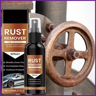 Iron Remover Car Detailing Iron Powder Remover 30ml Multi-Purpose Stain Removal for Rim Furniture Br