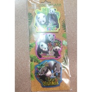 zoo negara  panda Malaysia magnet 3 in 1set