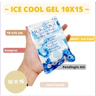 ICE GEL COOLER BAG ASI / ICE CREAM COOLER / ICE GEL STORAGE PLACE