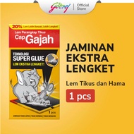 LEM TIKUS CAP GAJAH TRAP  SUPER LENGKET TERMURAH