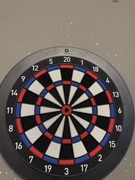 Dartslive