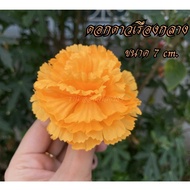 Central Marigold Size 7cm.