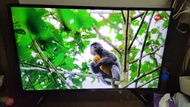 LG 43UH6100 4K Smart TV $2380 6個月保養