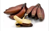 BUAH PISANG RAJA UDANG