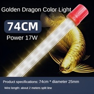 โคมไฟมังกรทอง RGB โคมไฟปลามังกรตู้ปลาพิเศษหลอดไฟ LED กันน้ำการปรับปรุงสีทองสามสีโคมไฟ Koi