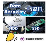 ✅ Data Recovery HDD 救資料 資料修復 數據 硬碟 ACE Lab 無反應 認唔到 讀唔到 中毒 亂碼 救資料 硬碟 死機 CCTV 車 cam 錄影 白蘋果 空間不足 儲存過量 E