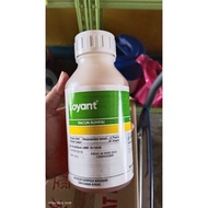 LOYANT 500ML👇👇👇👉SEJENIS RACUN RUMPAI PASCA CAMBAH