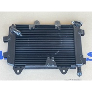 Radiator Core D400 Dominar400