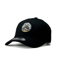 [ READY STOCK ] Patagonia Wave Baseball Curve Brim Cap