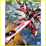 ♞,♘,♙MG 1/100 Infinite Justice Gundam