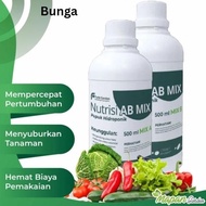 Pupuk Nutrisi Hidroponik AB Mix Bunga 1/2 liter Botol Purie