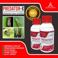 PREDATOR X 720SC 500ML INSEKTISIDA PEMBASMI HAMA WERENG COKLAT/PRNGGEREK BATANG/TRIPS