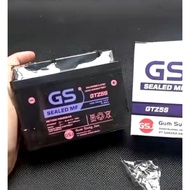 GS battery 100% realfict