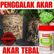 Pengalak Akar Plant Root Rooting Hormone Powder Hormon Pertumbuhan