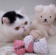 PILLOW TALK | 貓草包 貓玩具