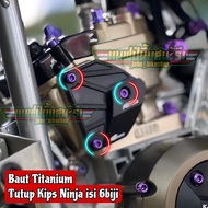 Kips Ninja 150 R SS RR Probolt Titanium Stainless Cover Bolt Original GR5 Vietnam Heng Thailand