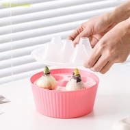 [WillBeRedM] Hyacinth Tulip Seed Hydroponic Flowerpot 3/5Holes Pots For Plants Soilless Plant Pot La