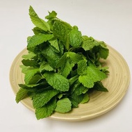 華記 - 新鮮薄荷葉(約75g)