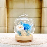 大蘋果/永生花/乾燥花/夜燈/玻璃盅/玻璃罩