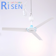 DC 12V ceiling fan