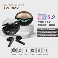 TW-GM2真無線藍牙耳機 雙耳通話(藍牙5.2 台灣製造) 銀色