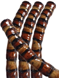 tongkat jalan tongkat penyembuhan tongkat terapi bahan bambu cendani sisik naga super