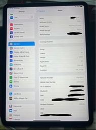 iPad Pro 11 (1st Gen) WIFI + CELLULAR 256gb